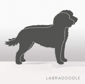 PflanzHunde LIMITED EDITION