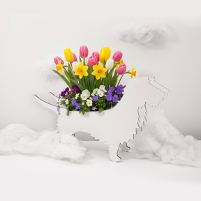 Plant dachshund LIMITED EDITION