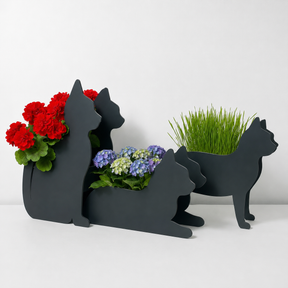 PflanzKatzen