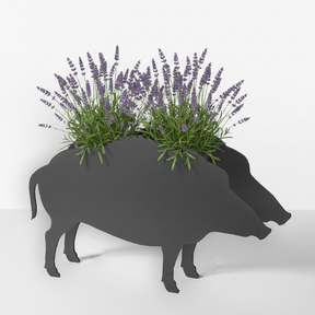 Plant dachshund LIMITED EDITION