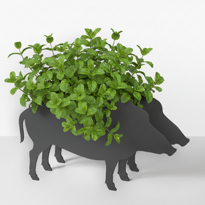 Plant dachshund LIMITED EDITION