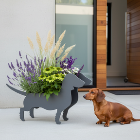 Pflanzdackel LIMITED EDITION