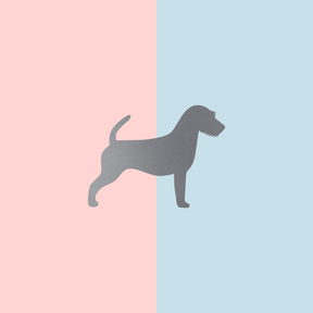 Teller Lieblingshund Powder Rose