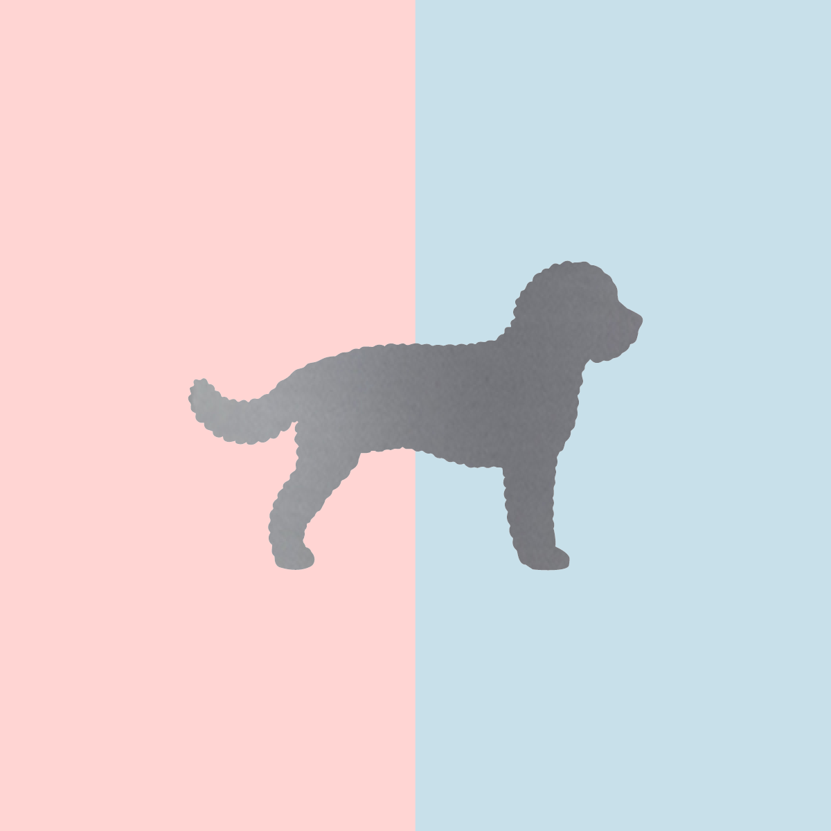 Teller Lieblingshund Powder Rose