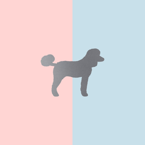 Teller Lieblingshund Powder Rose