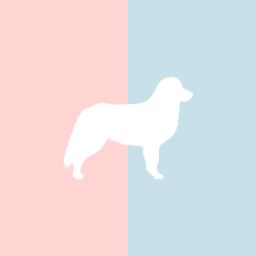 Große Tasse Lieblingshund Full Powder Rose