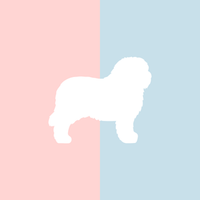 Große Tasse Lieblingshund Full Powder Rose