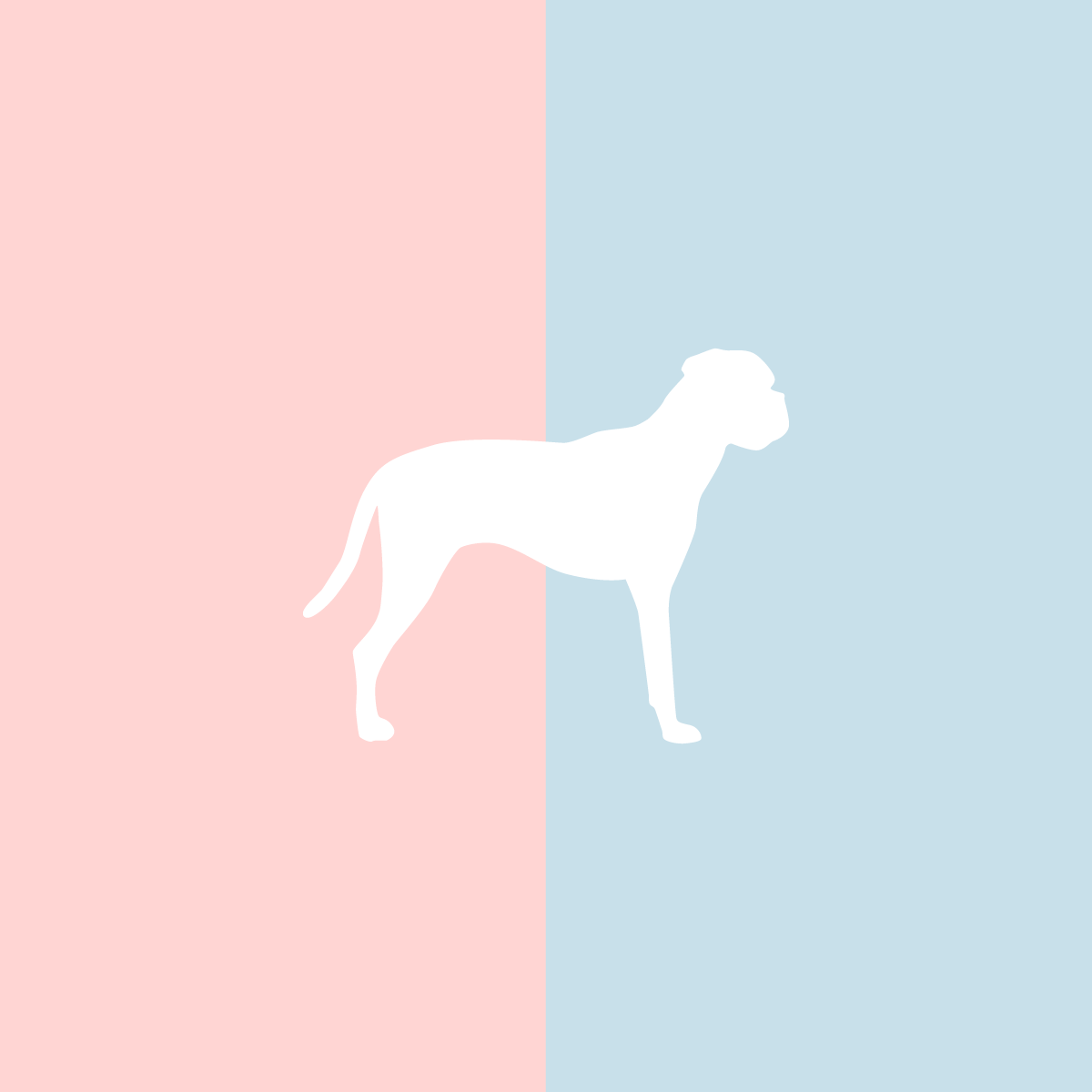 Große Tasse Lieblingshund Full Powder Rose