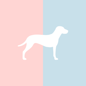 Große Tasse Lieblingshund Full Powder Rose