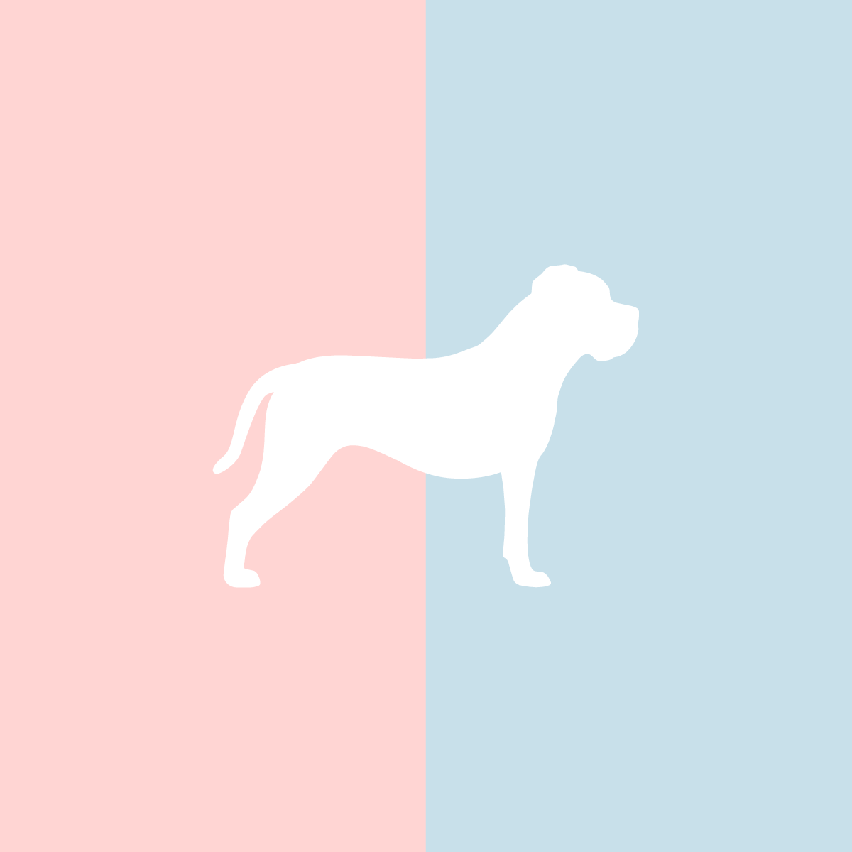 Große Tasse Lieblingshund Full Powder Rose