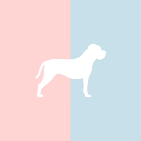 Große Tasse Lieblingshund Full Powder Rose