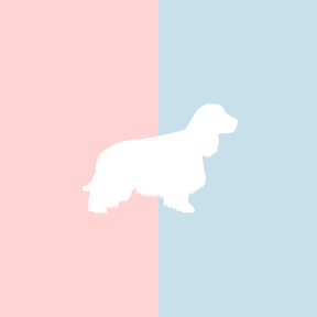 Große Tasse Lieblingshund Full Powder Rose