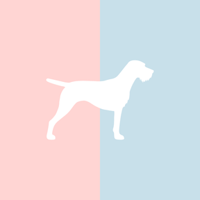 Große Tasse Lieblingshund Full Powder Rose