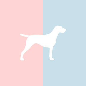 Große Tasse Lieblingshund Full Powder Rose