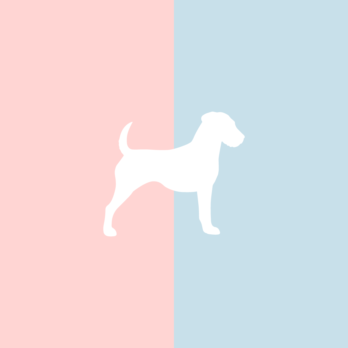 Große Tasse Lieblingshund Full Powder Rose