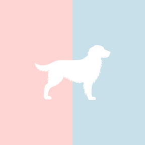 Große Tasse Lieblingshund Full Powder Rose