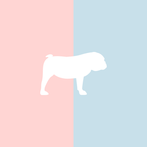 Große Tasse Lieblingshund Full Powder Rose