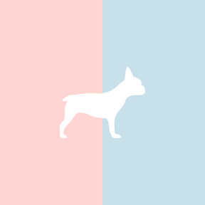 Große Tasse Lieblingshund Full Powder Rose