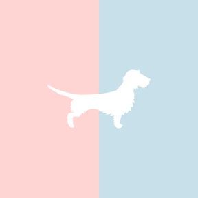 Große Tasse Lieblingshund Full Powder Rose