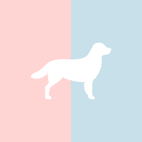 Große Tasse Lieblingshund Full Powder Rose