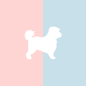 Große Tasse Lieblingshund Full Powder Rose