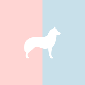 Große Tasse Lieblingshund Full Powder Rose