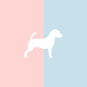 Große Tasse Lieblingshund Full Powder Rose