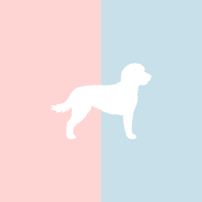 Große Tasse Lieblingshund Full Powder Rose