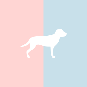 Große Tasse Lieblingshund Full Powder Rose