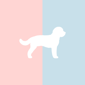 Große Tasse Lieblingshund Full Powder Rose