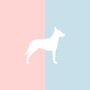 Große Tasse Lieblingshund Full Powder Rose