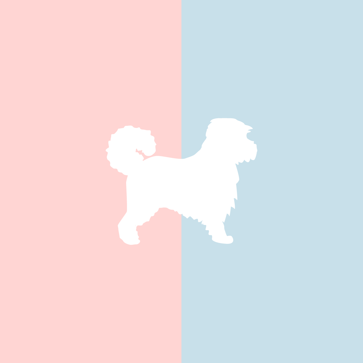 Große Tasse Lieblingshund Full Powder Rose