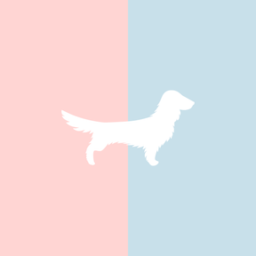 Große Tasse Lieblingshund Full Powder Rose