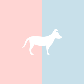 Große Tasse Lieblingshund Full Powder Rose