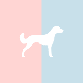 Große Tasse Lieblingshund Full Powder Rose