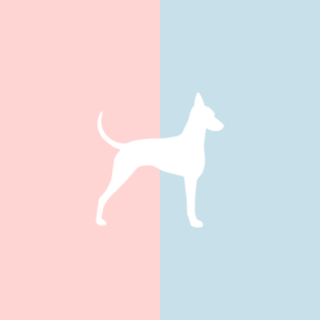 Große Tasse Lieblingshund Full Powder Rose