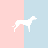 Becher Lieblingshund Full Powder Rose