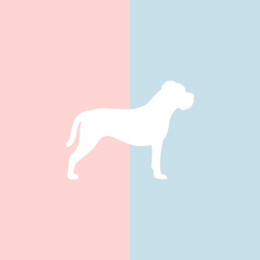 Große Tasse Lieblingshund Full Powder Rose