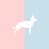 Mug Small but Fine Dusty