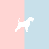 Becher Lieblingshund Full Powder Rose