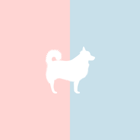 Große Tasse Lieblingshund Full Powder Rose