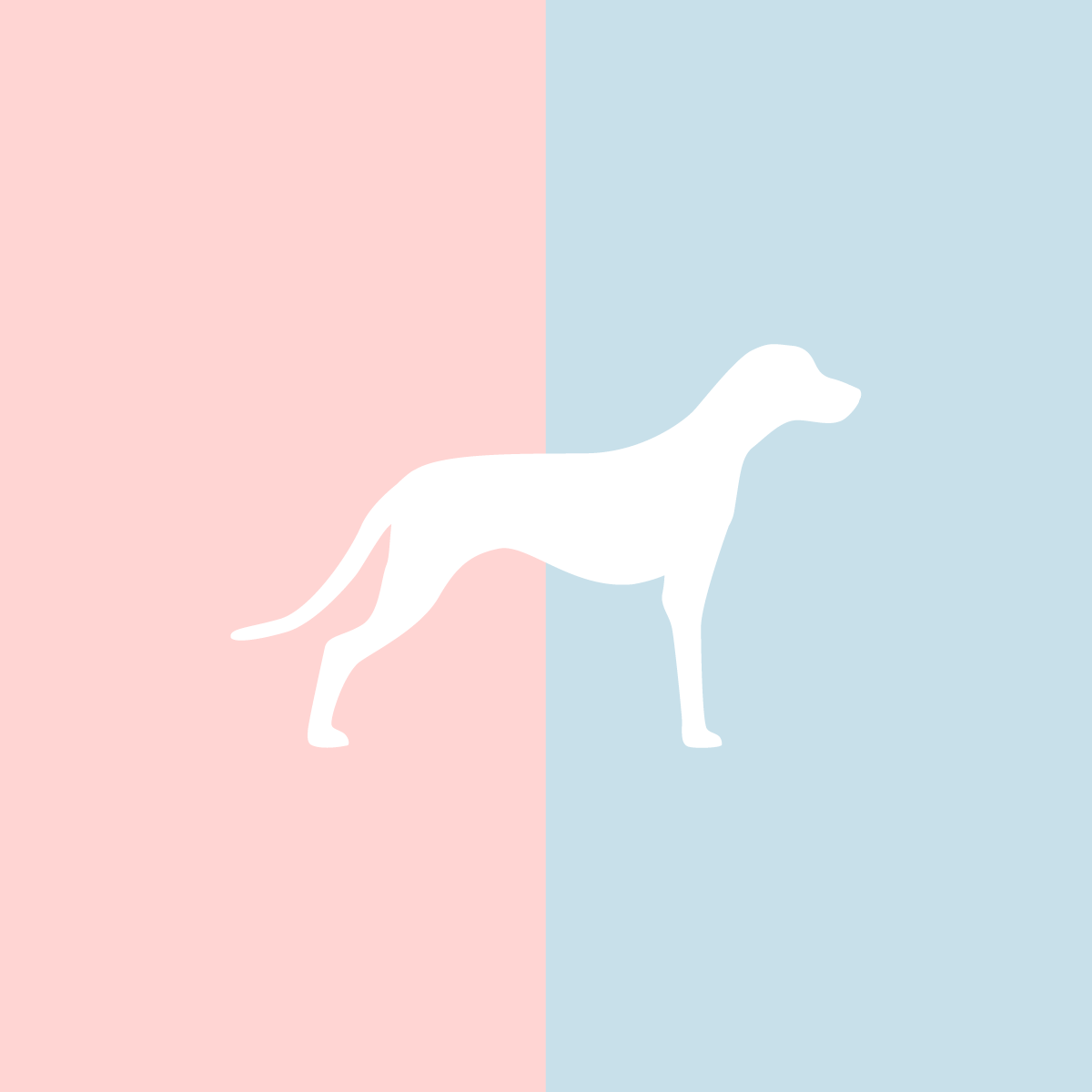 Große Tasse Lieblingshund Full Powder Rose