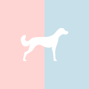 Große Tasse Lieblingshund Full Powder Rose