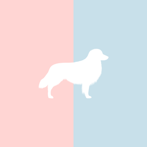 Große Tasse Lieblingshund Full Powder Rose