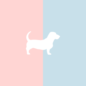 Große Tasse Lieblingshund Full Powder Rose