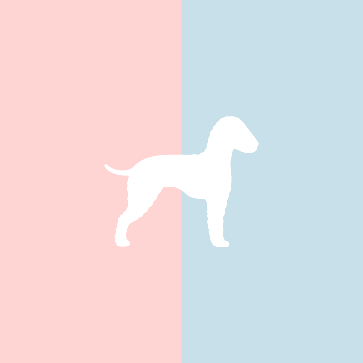 Große Tasse Lieblingshund Full Powder Rose