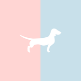 Große Tasse Lieblingshund Full Powder Rose