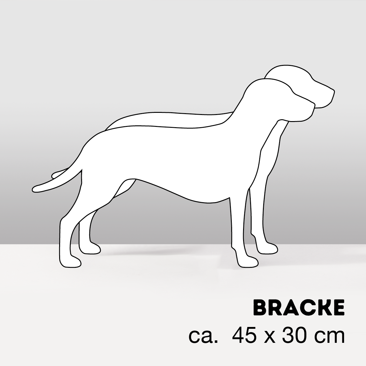 PflanzHunde LIMITED EDITION Cloud