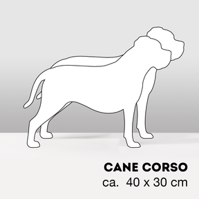 PflanzHunde LIMITED EDITION Cloud