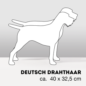 PflanzHunde LIMITED EDITION Cloud